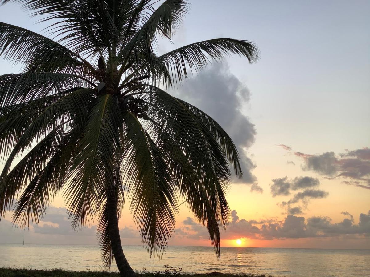 Emayani Beach Lodge Pangani Eksteriør bilde