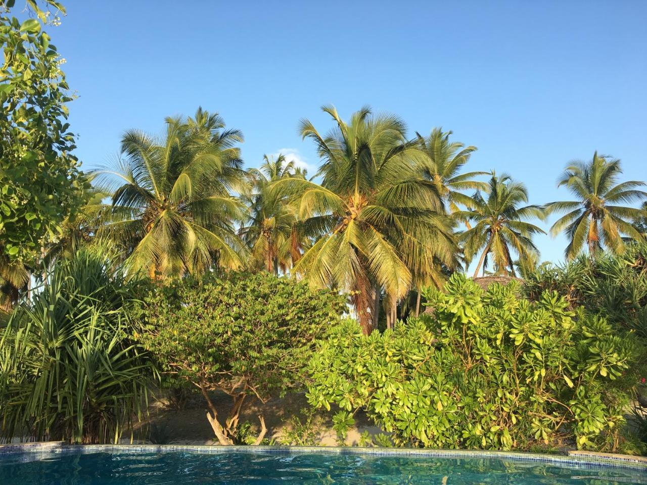 Emayani Beach Lodge Pangani Eksteriør bilde