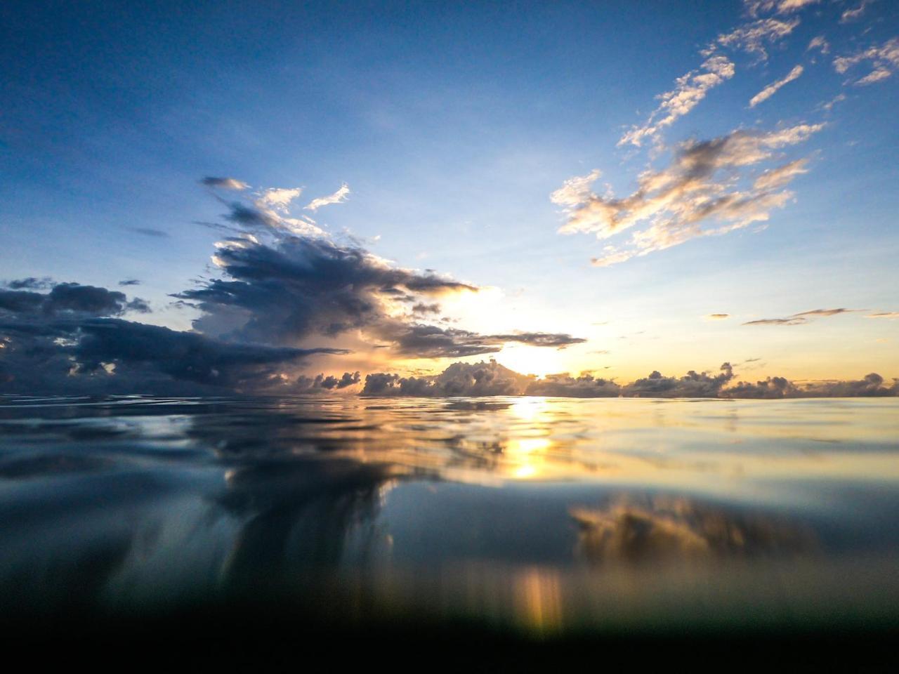 Emayani Beach Lodge Pangani Eksteriør bilde